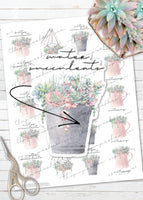 printable succulent plant watering reminder stickers